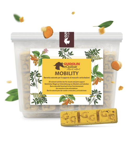 EQUIBAR MOBILITY ΦΥΤΟΘΕΡΑΠΕΥΤΙΚΕΣ ΜΠΑΡΕΣ ΑΛΟΓΟΥ ΓΙΑ ΤΙΣ ΑΡΘΡΩΣΕΙΣ  G00021