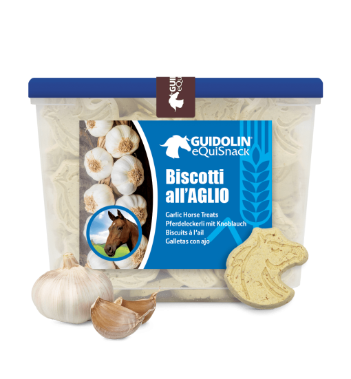 Μπισκότα σκόρδου για άλογα 2.5Kg G00025
