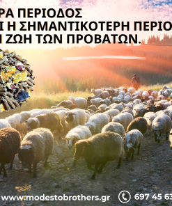 ΤΡΟΦΗ ΑΙΓΟΠΡΟΒΑΤΩΝ ΞΗΡΑΣ ΠΕΡΙΟΔΟΥ PV837
