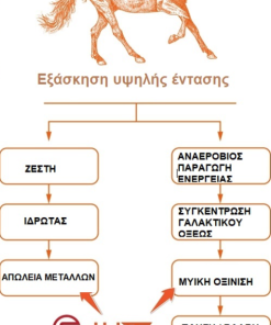 E-LYTE ΗΛΕΚΤΡΟΛΥΤΗΣ ΑΛΟΓΩΝ F00057