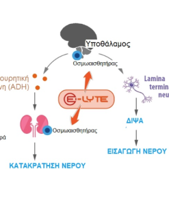 E-LYTE ΗΛΕΚΤΡΟΛΥΤΗΣ ΑΛΟΓΩΝ F00057