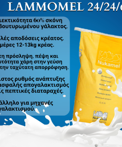ΓΑΛΑ ΓΙΑ ΑΡΝΙΑ LAMMOMEL 60%