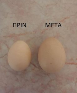 Περίπτωση 2